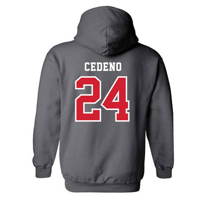 Marist - NCAA Baseball : Luis Cedeno - Hooded Sweatshirt-1