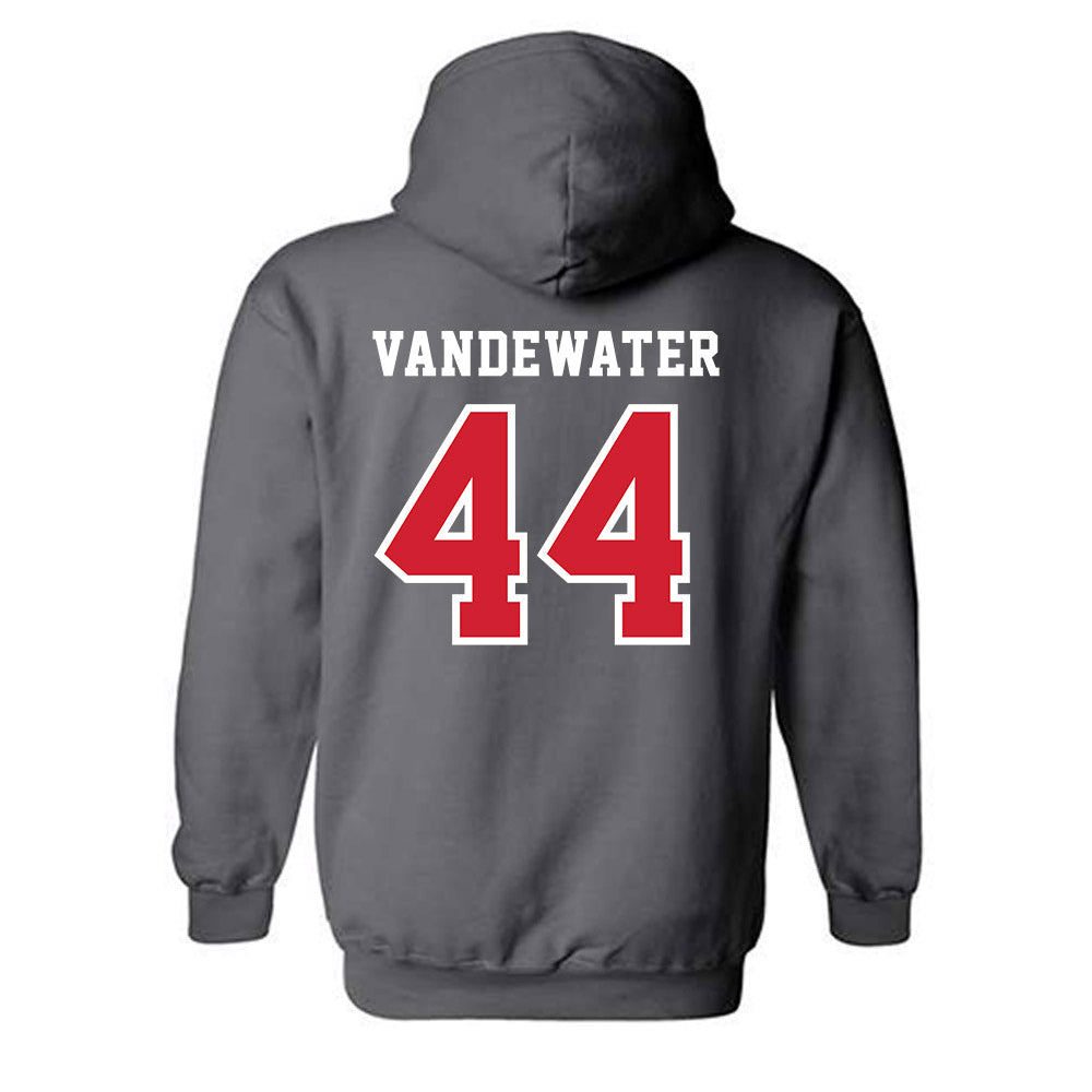 Marist - NCAA Baseball : Ryan VanDeWater - Hooded Sweatshirt-1