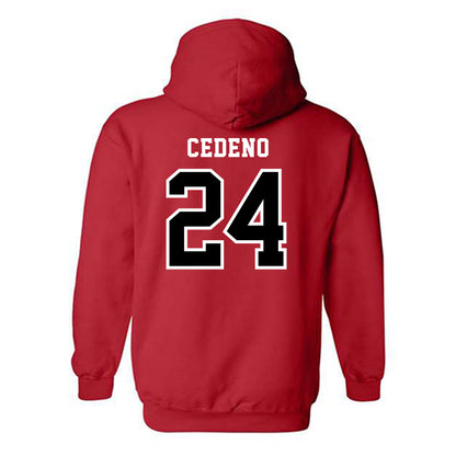 Marist - NCAA Baseball : Luis Cedeno - Classic Shersey Hooded Sweatshirt-1