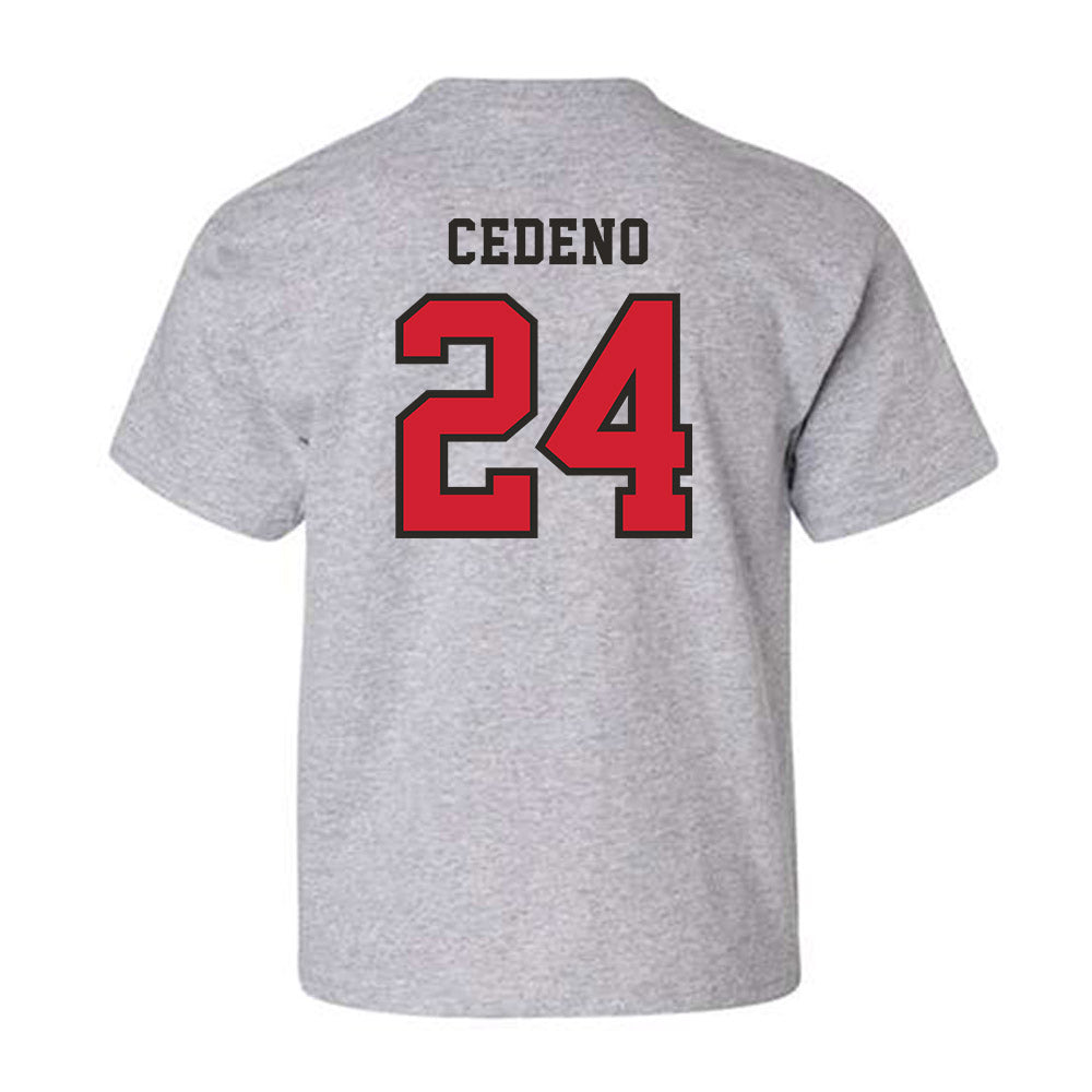 Marist - NCAA Baseball : Luis Cedeno - Classic Shersey Youth T-Shirt-1