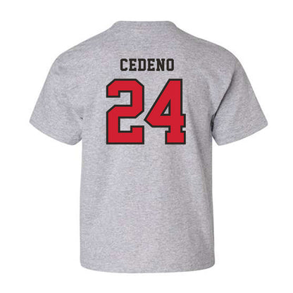 Marist - NCAA Baseball : Luis Cedeno - Classic Shersey Youth T-Shirt-1