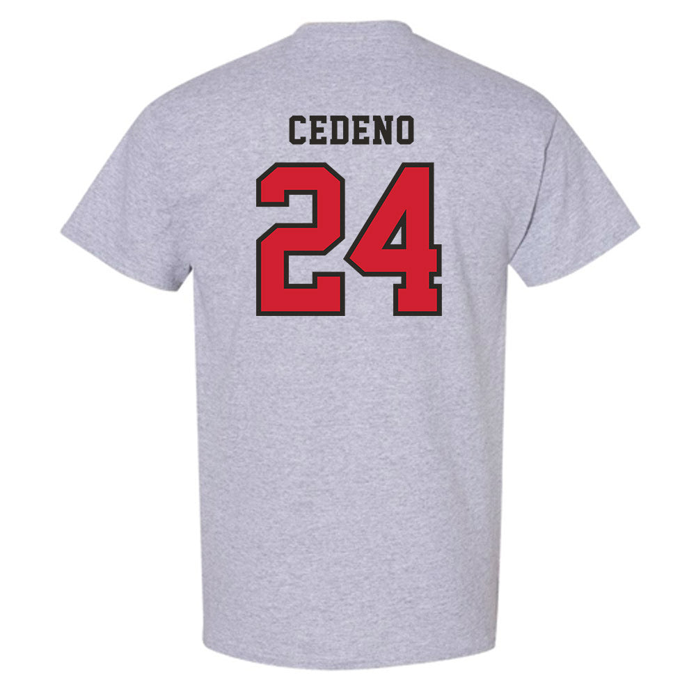 Marist - NCAA Baseball : Luis Cedeno - Classic Shersey T-Shirt-1