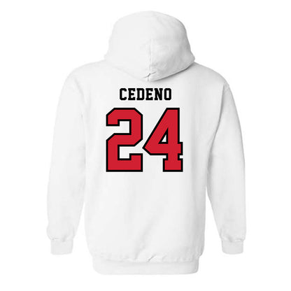 Marist - NCAA Baseball : Luis Cedeno - Classic Shersey Hooded Sweatshirt-1