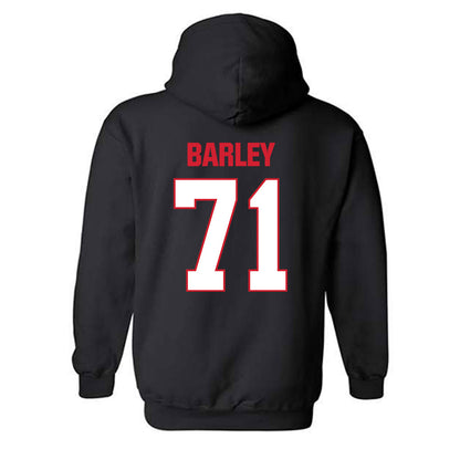 MSUM - NCAA Softball : Isabella Barley - Classic Shersey Hooded Sweatshirt-3