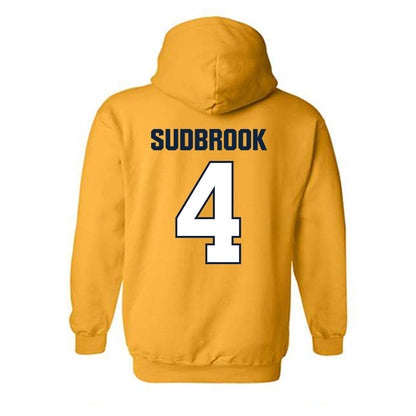 Toledo - NCAA Baseball : Ryan Sudbrook - Hooded Sweatshirt-1
