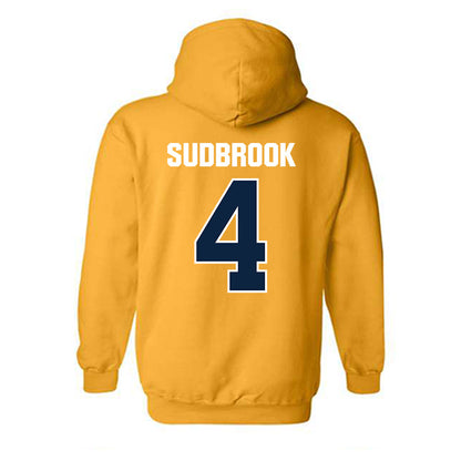 Toledo - NCAA Baseball : Ryan Sudbrook - Hooded Sweatshirt-1