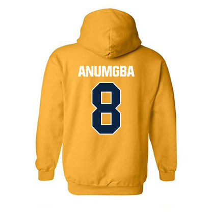 Toledo - NCAA Women's Basketball : Patricia Anumgba - Hooded Sweatshirt-1