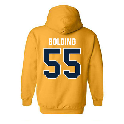 Toledo - NCAA Softball : Samantha Bolding - Hooded Sweatshirt-1