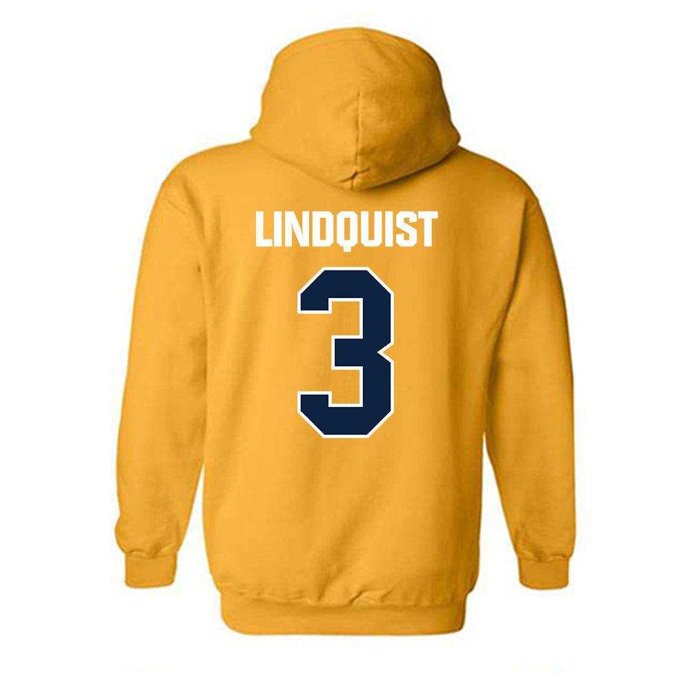 Toledo - NCAA Baseball : Branston Lindquist - Hooded Sweatshirt-1