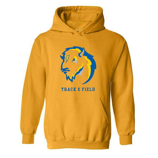 Southeastern - NCAA Men's Track & Field : Jada Johnson - Classic Shersey Hooded Sweatshirt-0