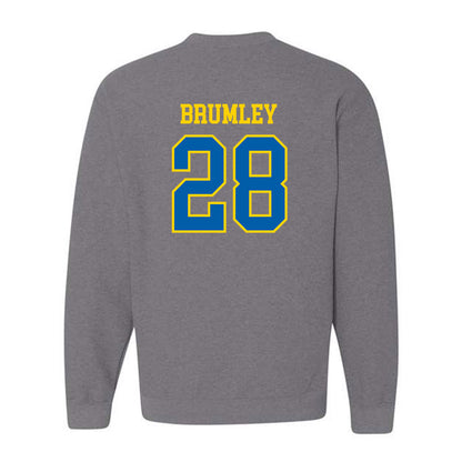 Southeastern - NCAA Football : Christian Brumley - Classic Shersey Crewneck Sweatshirt-1