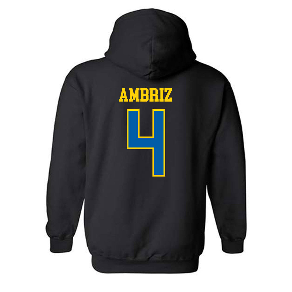 Southeastern - NCAA Baseball : Jacob Ambriz - Classic Shersey Hooded Sweatshirt-1