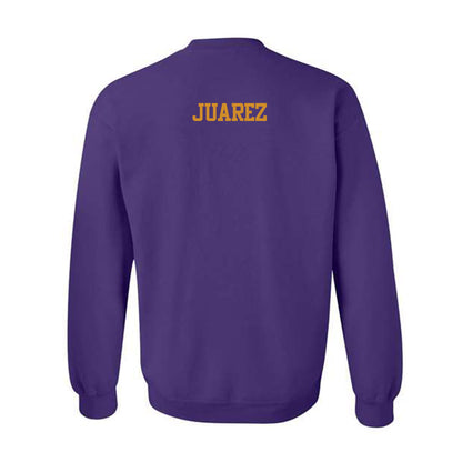 Alcorn - NCAA Men's Tennis : Fabian Juarez - Classic Shersey Crewneck Sweatshirt-1