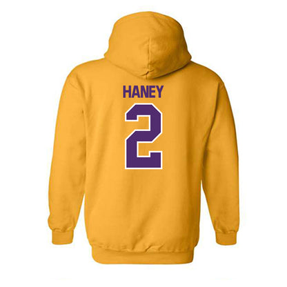 Alcorn - NCAA Football : Tayvion Haney - Classic Shersey Hooded Sweatshirt-1