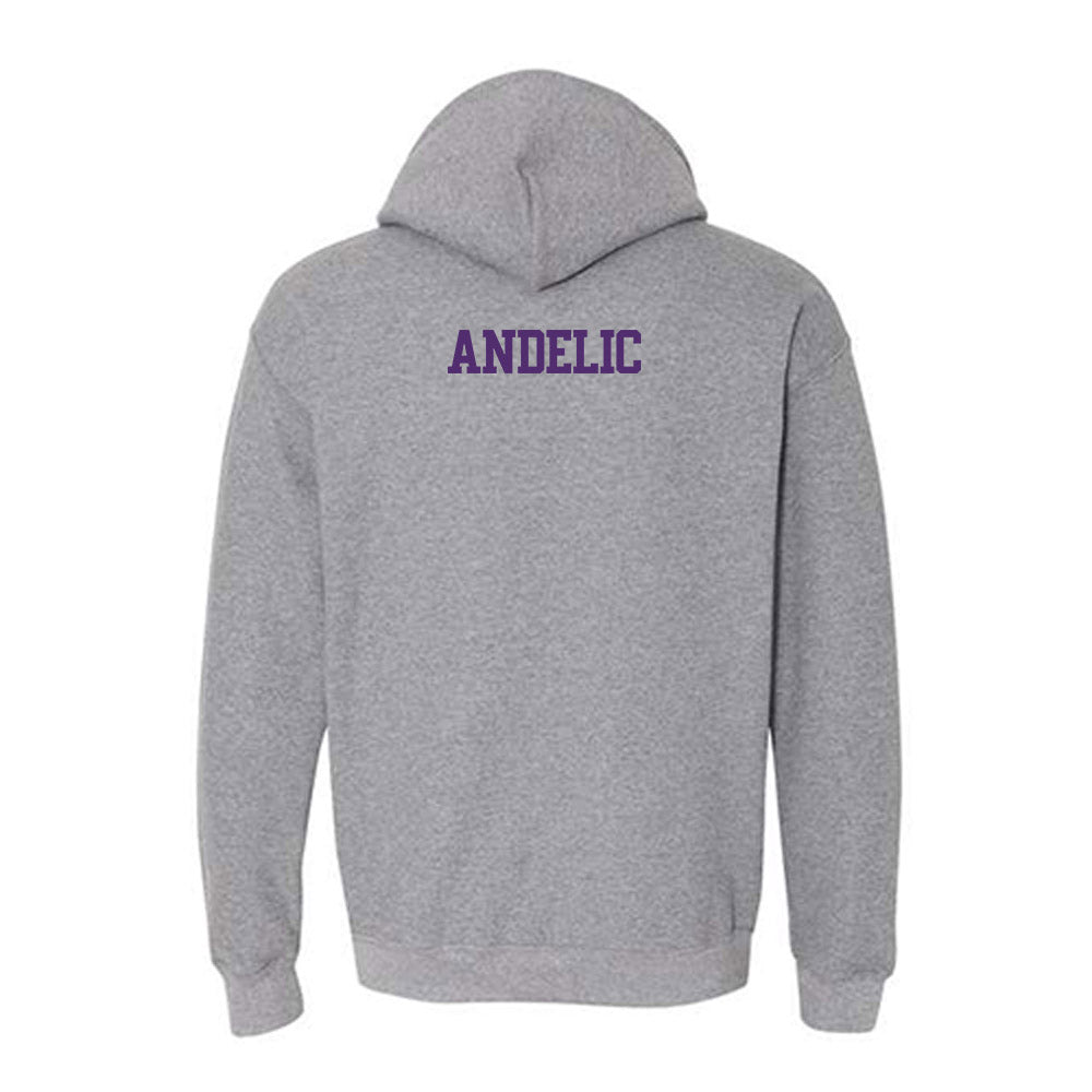 Alcorn - NCAA Women's Tennis : Matea Andelic - Classic Shersey Hooded Sweatshirt-1