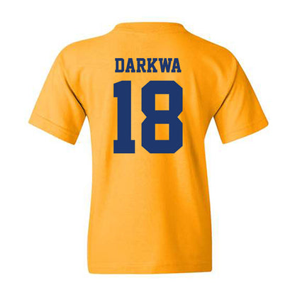 North Carolina A&T - NCAA Softball : Hailey Darkwa - Youth T-Shirt-1