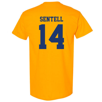 North Carolina A&T - NCAA Baseball : Gavin Sentell - T-Shirt-1
