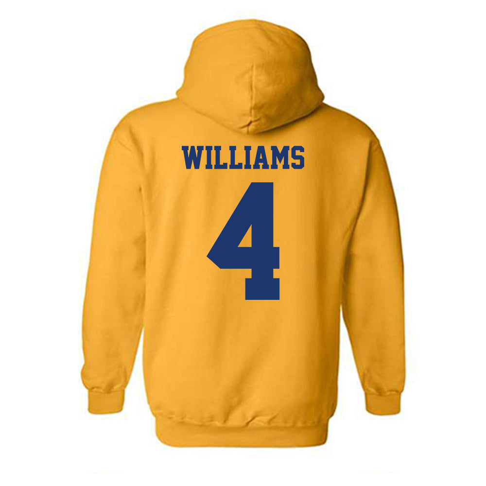 North Carolina A&T - NCAA Softball : Katriel Williams - Hooded Sweatshirt-1