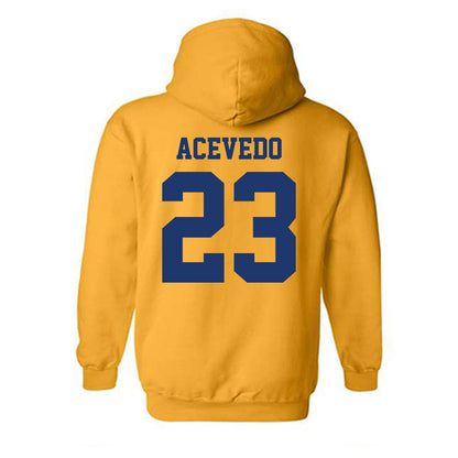 North Carolina A&T - NCAA Baseball : LJ Acevedo - Hooded Sweatshirt-1