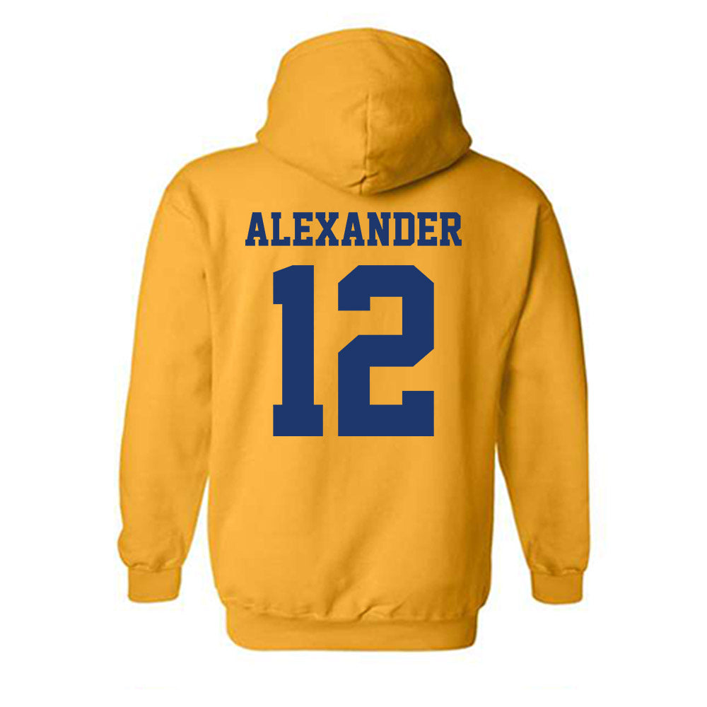 North Carolina A&T - NCAA Women's Basketball : Drew Alexander - Hooded Sweatshirt-1
