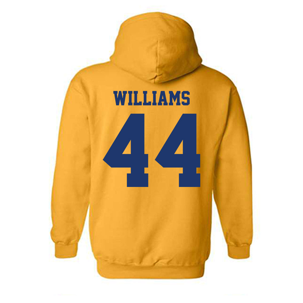 North Carolina A&T - NCAA Football : Jayden Williams - Hooded Sweatshirt-1