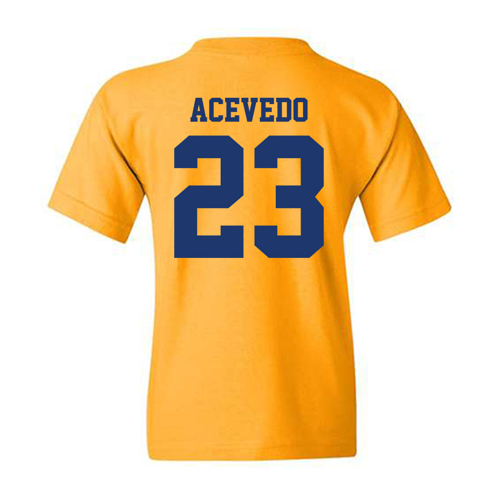 North Carolina A&T - NCAA Baseball : LJ Acevedo - Youth T-Shirt-1