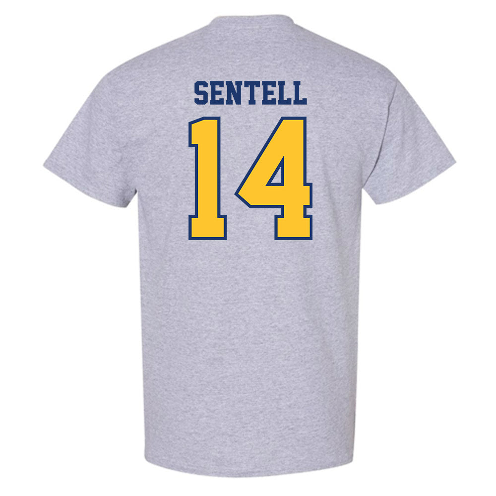 North Carolina A&T - NCAA Baseball : Gavin Sentell - T-Shirt-1