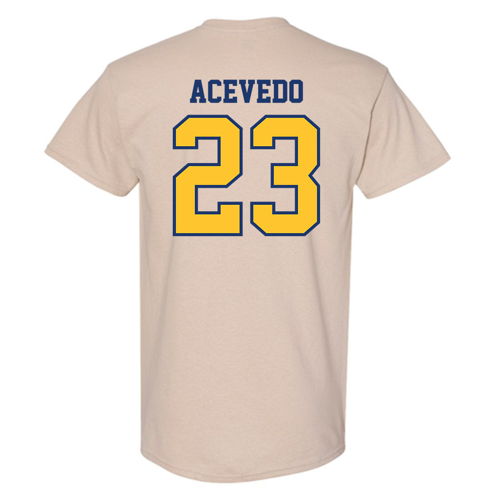 North Carolina A&T - NCAA Baseball : LJ Acevedo - T-Shirt-1