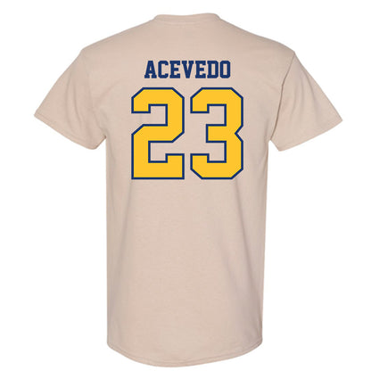 North Carolina A&T - NCAA Baseball : LJ Acevedo - T-Shirt-1