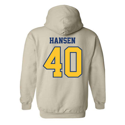 North Carolina A&T - NCAA Baseball : Aiden Hansen - Hooded Sweatshirt-1