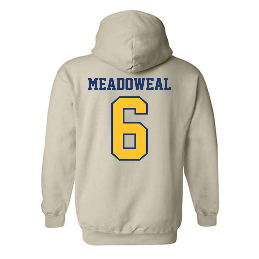 North Carolina A&T - NCAA Women's Volleyball : Charlie Meadoweal - Hooded Sweatshirt-1