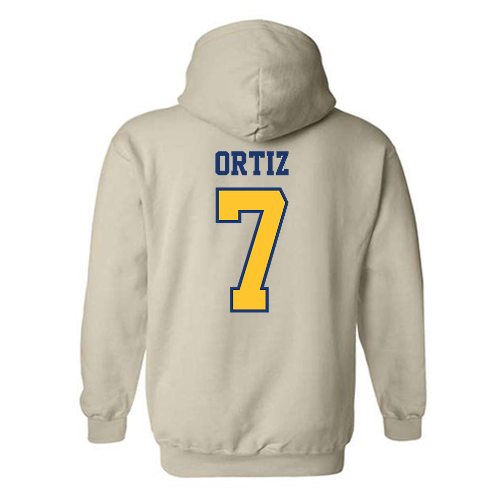 North Carolina A&T - NCAA Baseball : Angel Ortiz - Hooded Sweatshirt-1