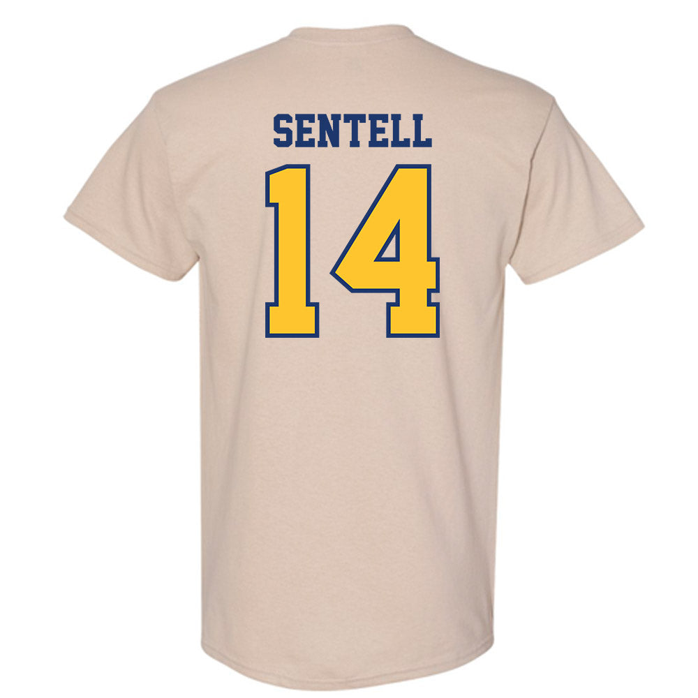 North Carolina A&T - NCAA Baseball : Gavin Sentell - T-Shirt-1