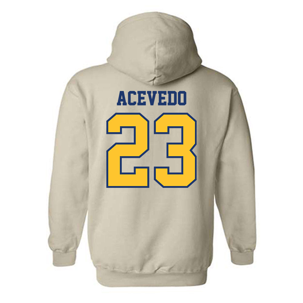North Carolina A&T - NCAA Baseball : LJ Acevedo - Hooded Sweatshirt-1