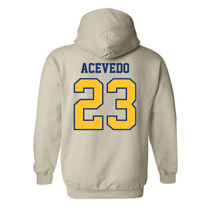 North Carolina A&T - NCAA Baseball : LJ Acevedo - Hooded Sweatshirt-1