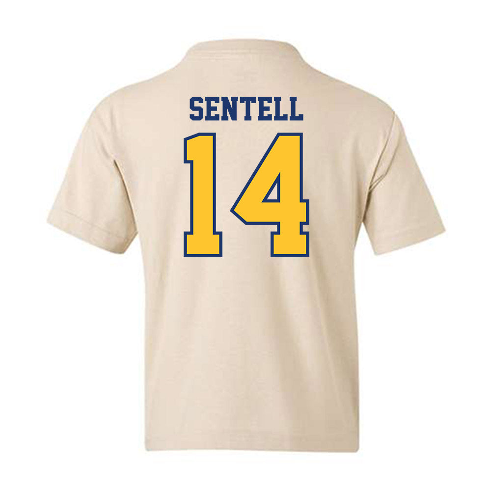 North Carolina A&T - NCAA Baseball : Gavin Sentell - Youth T-Shirt-1