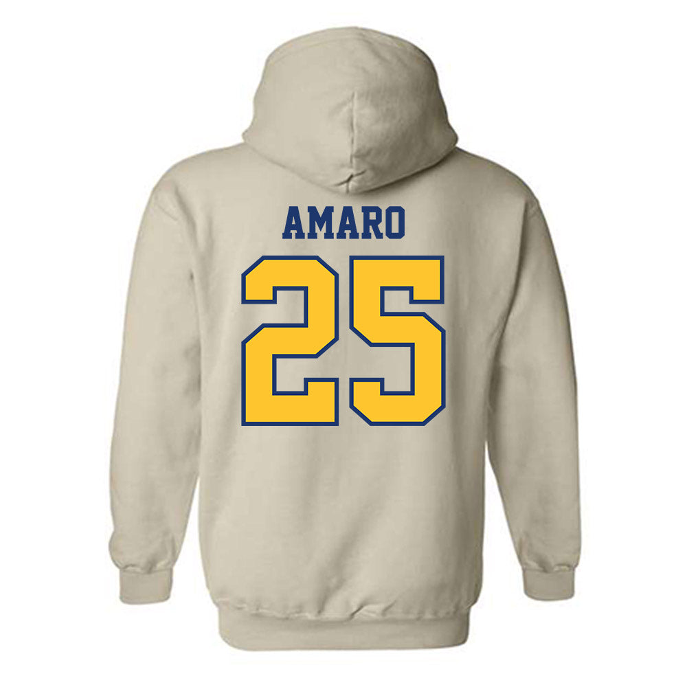 North Carolina A&T - NCAA Baseball : Kristian Amaro - Hooded Sweatshirt-1