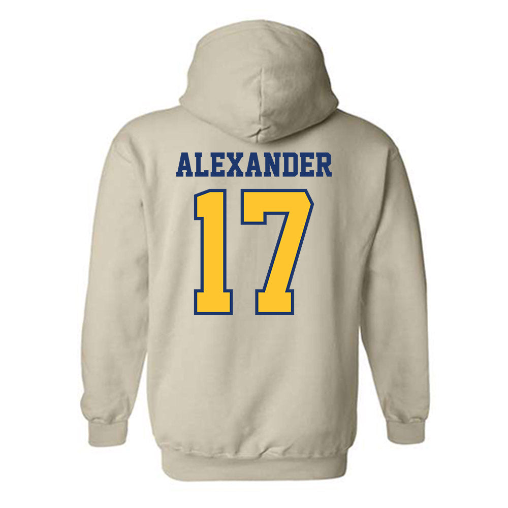 North Carolina A&T - NCAA Softball : Maliyah Alexander - Hooded Sweatshirt-1