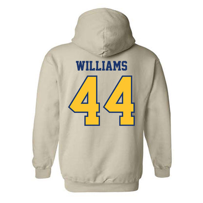 North Carolina A&T - NCAA Football : Jayden Williams - Hooded Sweatshirt-1