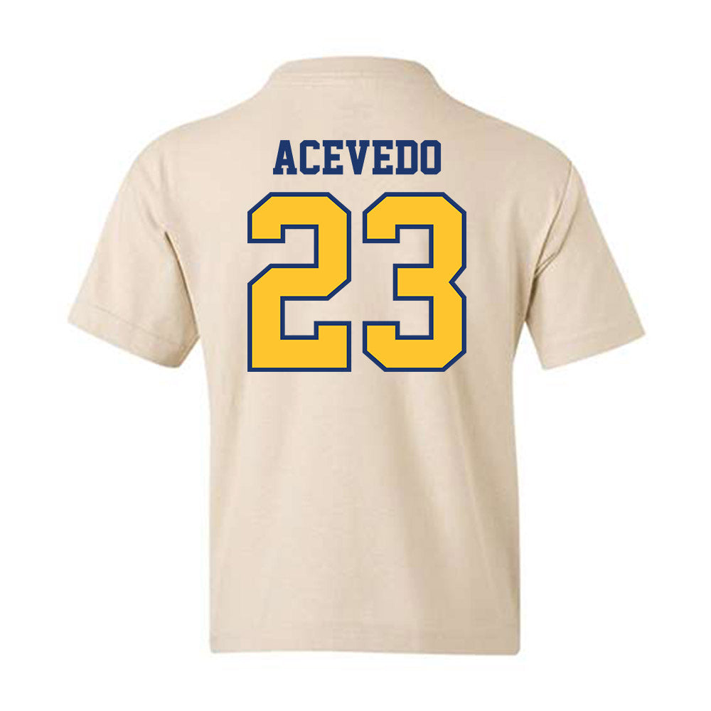 North Carolina A&T - NCAA Baseball : LJ Acevedo - Youth T-Shirt-1