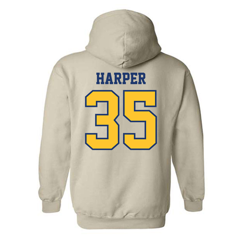 North Carolina A&T - NCAA Baseball : Bo Harper - Hooded Sweatshirt-1