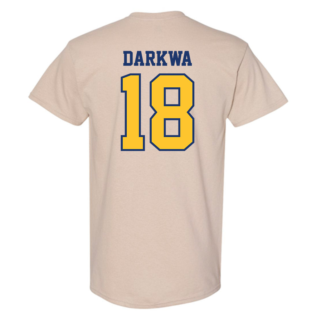 North Carolina A&T - NCAA Softball : Hailey Darkwa - T-Shirt-1