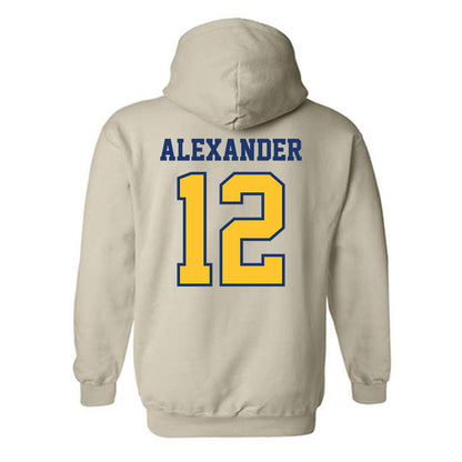 North Carolina A&T - NCAA Women's Basketball : Drew Alexander - Hooded Sweatshirt-1