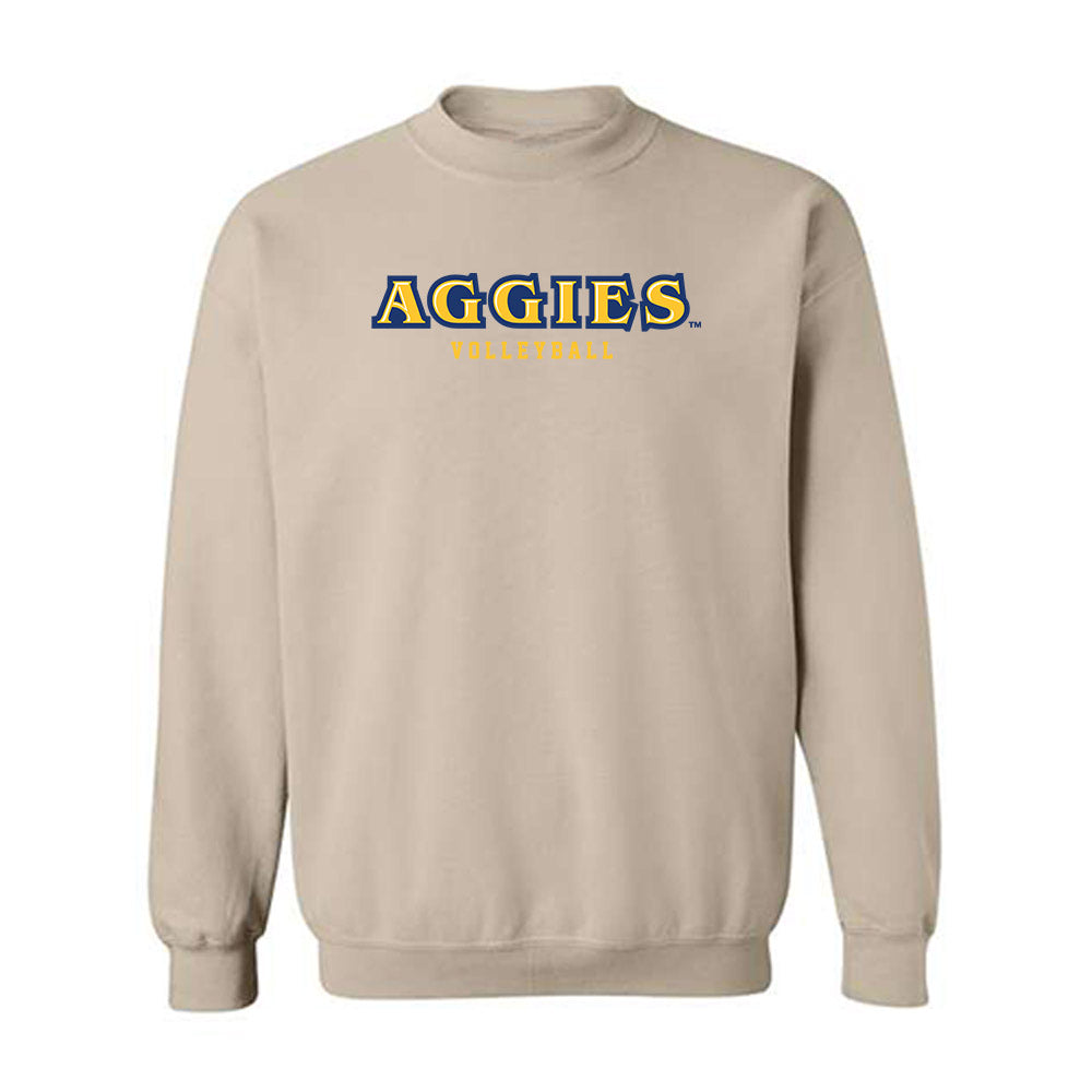 North Carolina A&T - NCAA Women's Volleyball : Valeria Estrada - Crewneck Sweatshirt-0