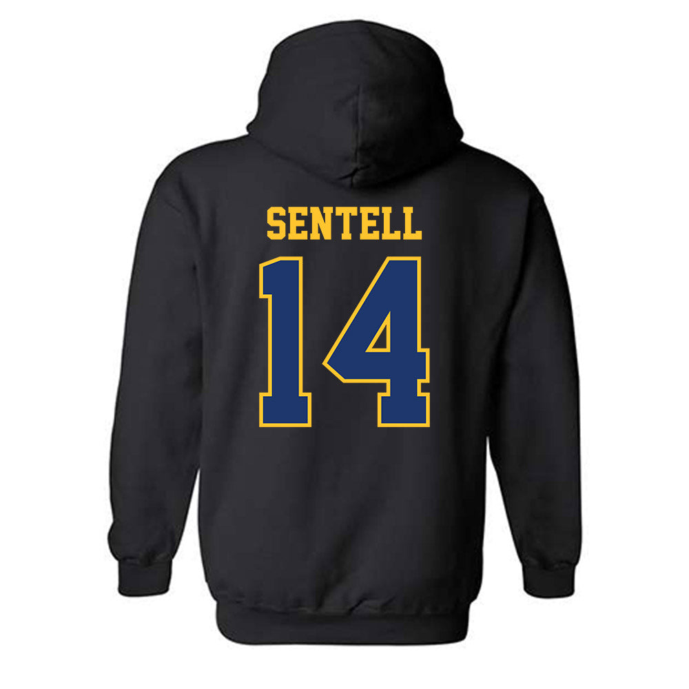 North Carolina A&T - NCAA Baseball : Gavin Sentell - Classic Shersey Hooded Sweatshirt-1