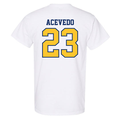 North Carolina A&T - NCAA Baseball : LJ Acevedo - T-Shirt-1