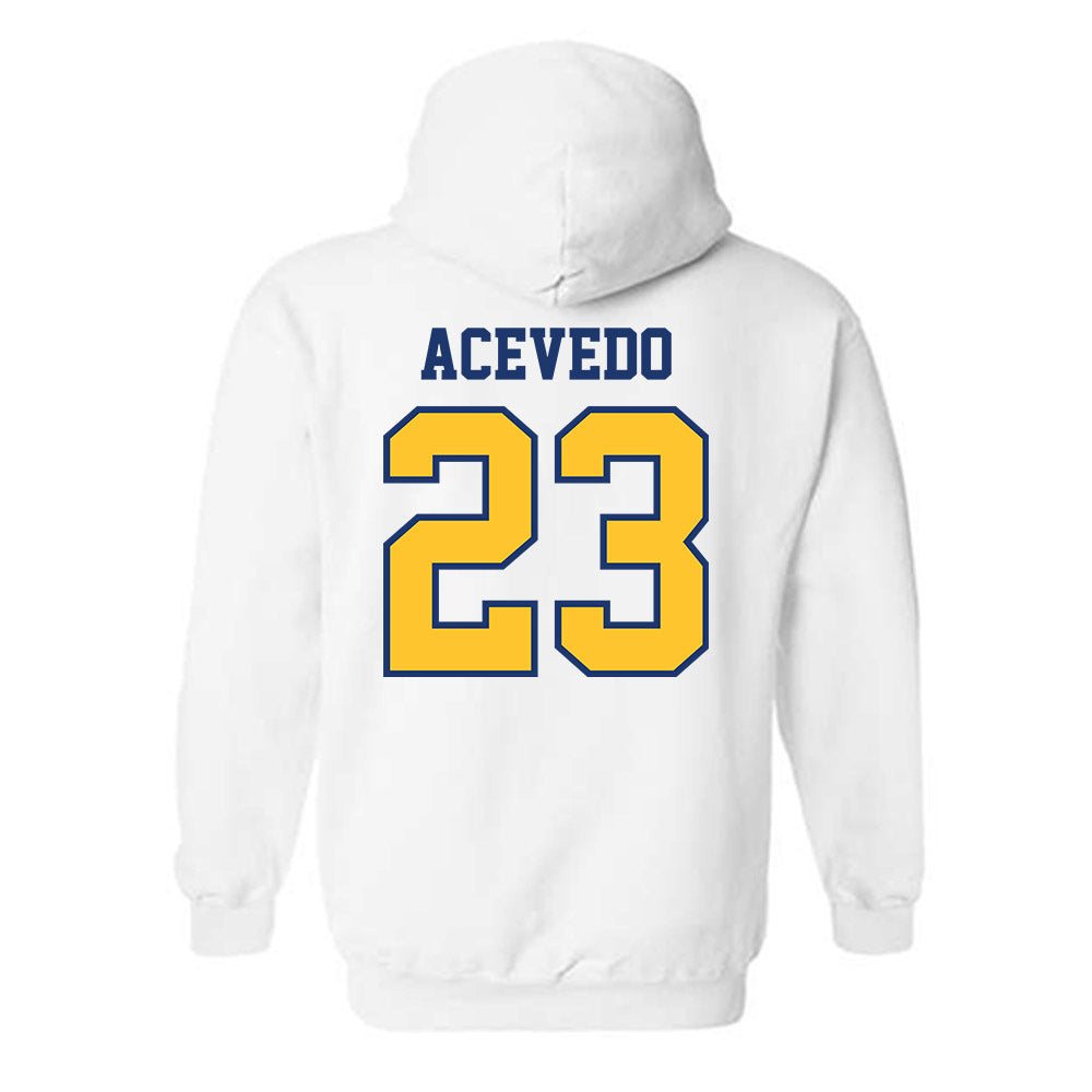 North Carolina A&T - NCAA Baseball : LJ Acevedo - Hooded Sweatshirt-1