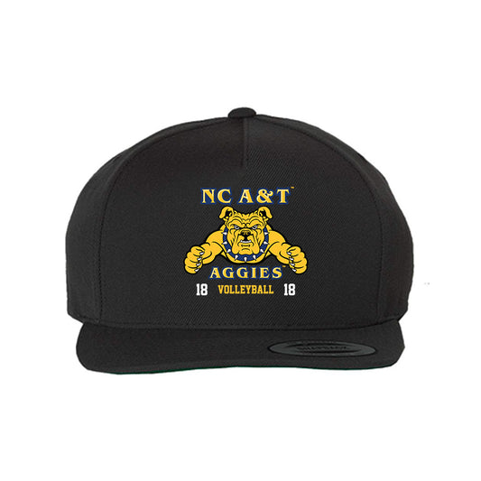North Carolina A&T - NCAA Women's Volleyball : Jada Hampton - Snapback Hat-0