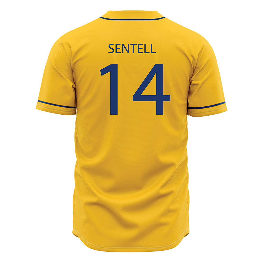 North Carolina A&T - NCAA Baseball : Gavin Sentell - Jersey-1