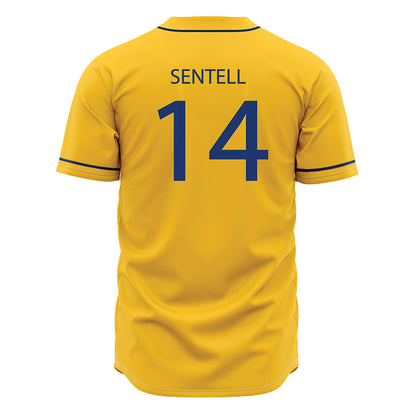 North Carolina A&T - NCAA Baseball : Gavin Sentell - Jersey-1